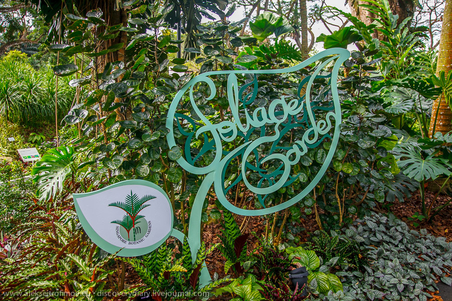 Botanic gardens of Singapore - Deeper History Blog